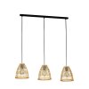 Eglo AYESGARTH Hanglamp Zwart, 3-lichts
