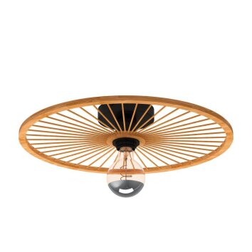 Eglo LEOMINSTER Plafondlamp Zwart, 1-licht Eglo LEOMINSTER Plafondlamp Zwart, 1-licht