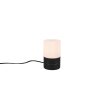 Trio Ary 2 Tafellamp Zwart, 1-licht