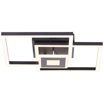 Brilliant Bray Plafondlamp LED Zwart, Wit, 1-licht