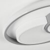 Casqueira Plafondlamp LED Grijs, Wit, 1-licht