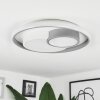 Casqueira Plafondlamp LED Grijs, Wit, 1-licht