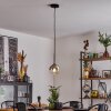 Koyoto  Hanger Glas 15 cm Chroom, Duidelijk, Rookkleurig, 1-licht