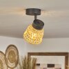 Rombarral Plafondlamp Zwart, 1-licht