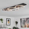 Pompu Plafondlamp LED Zwart, 3-lichts