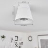 Especiosa Plafondlamp Wit, 1-licht