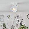 Especiosa Plafondlamp Wit, 1-licht