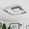 Casqueira Plafondlamp LED Grijs, Wit, 1-licht