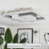 Casqueira Plafondlamp LED Grijs, Wit, 1-licht