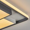 Casqueira Plafondlamp LED Grijs, Wit, 1-licht