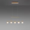 Paul Neuhaus HYDRA Hanglamp LED Messing, 5-lichts