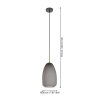 Eglo ALOBRASE Hanger Messing, Zwart, 1-licht