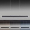 Paul Neuhaus NILA Hanglamp LED Antraciet, 2-lichts, Afstandsbediening