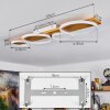Rodekro Plafondlamp LED Natuurlijke kleuren, Wit, 1-licht