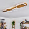 Rodekro Plafondlamp LED Natuurlijke kleuren, Wit, 1-licht