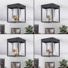 Sarniguet Plafondlamp Zwart, 1-licht