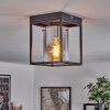 Sarniguet Plafondlamp Zwart, 1-licht
