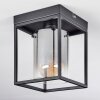 Sarniguet Plafondlamp Zwart, 1-licht
