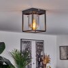 Sarniguet Plafondlamp Zwart, 1-licht