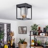 Sarniguet Plafondlamp Zwart, 1-licht