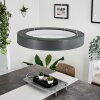 Areja Hanglamp LED Antraciet, Wit, 1-licht