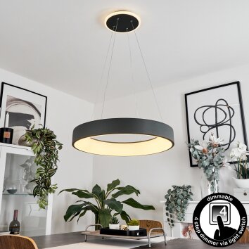 Areja Hanglamp LED Antraciet, Wit, 1-licht