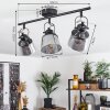 Safari Plafondlamp Zwart, 3-lichts