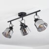 Safari Plafondlamp Zwart, 3-lichts