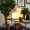 iDual Thyme Tafellamp LED Nikkel mat, 1-licht, Afstandsbediening, Kleurwisselaar