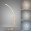 Paul Neuhaus Q-VITO Staande lamp LED Messing, 1-licht, Afstandsbediening