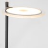 Steinhauer Turound Uplighter LED Zwart, 2-lichts