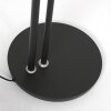 Steinhauer Turound Uplighter LED Zwart, 2-lichts