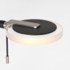 Steinhauer Turound Staande lamp LED Zwart, 1-licht