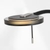Steinhauer Turound Staande lamp LED Zwart, 1-licht