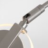 Steinhauer Turound Staande lamp LED Staal geborsteld, 1-licht