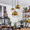 Koyoto  Hanger Glas 15 cm, 20 cm, 25 cm Goud, Duidelijk, 3-lichts