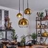 Koyoto  Hanger Glas 15 cm, 20 cm, 25 cm Goud, Duidelijk, 3-lichts