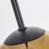 Koyoto  Hanger Glas 15 cm Goud, Duidelijk, 3-lichts