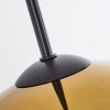 Koyoto  Hanger Glas 15 cm, 20 cm, 25 cm, 30cm Goud, Duidelijk, 5-lichts