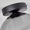 Koyoto  Plafondlamp Glas 20 cm Duidelijk, Rookkleurig, 1-licht