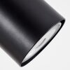 Arbrentin Staande lamp Natuurlijke kleuren, Zwart, 3-lichts