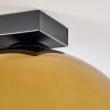 Koyoto  Plafondlamp Glas 30 cm Goud, Duidelijk, 4-lichts