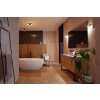 Philips Hue Xamento Plafondlamp LED Zwart, Wit, 1-licht, Kleurwisselaar