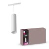Philips Hue Perifo Hanger LED Wit, 1-licht, Kleurwisselaar