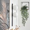 Rascoupet Muurlamp Wit, 2-lichts