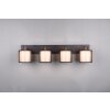 Trio Burton Plafondlamp Zwart, 4-lichts