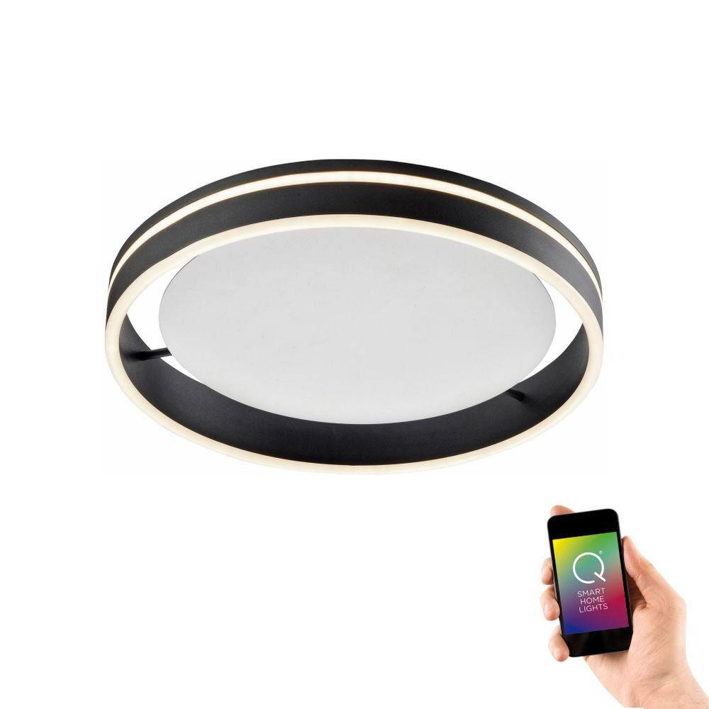 Paul Neuhaus Q-VITO Plafondlamp LED Antraciet, 1-licht, Afstandsbediening main product photo