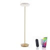 Paul Neuhaus Q-ETIENNE Staande lamp LED Messing, 1-licht, Afstandsbediening