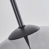 Koyoto  Hanger Glas 25 cm Chroom, Duidelijk, Rookkleurig, 2-lichts