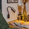 Javel Stopcontact lamp Zwart, 1-licht